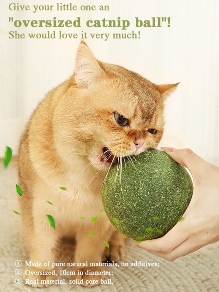 Oversized Cat Mint Ball-Playful Catnip Bliss