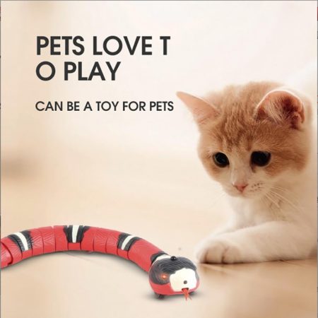 Cat Toys Sensing Snake