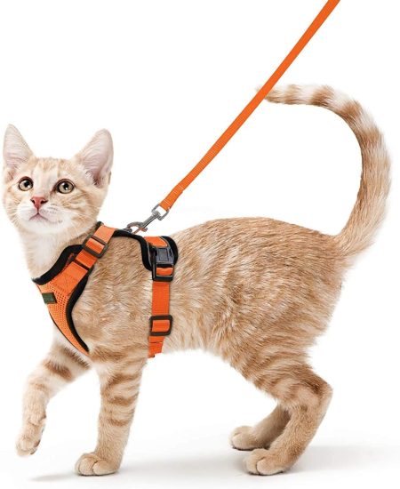 Cat Harness and Leash-Safe & Stylish Walks