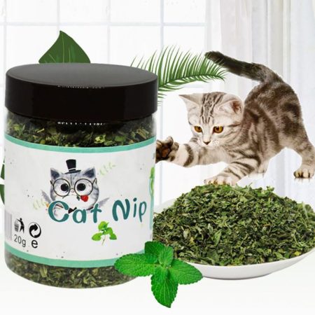 Cat's Delight-Premium Natural Catnip Leaves for Playful Pets
