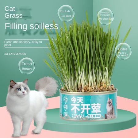 Organic Catnip Toy: Minty Feline Bliss