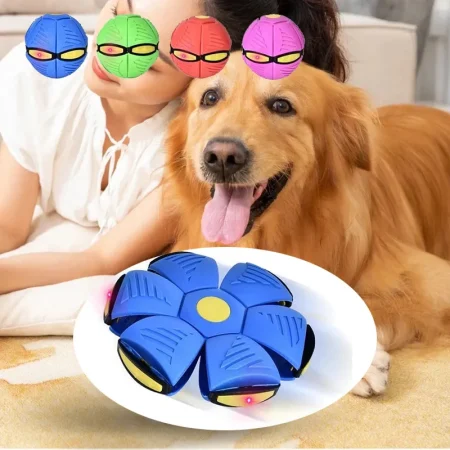 Deforming UFO Dog Flying Saucer Toy