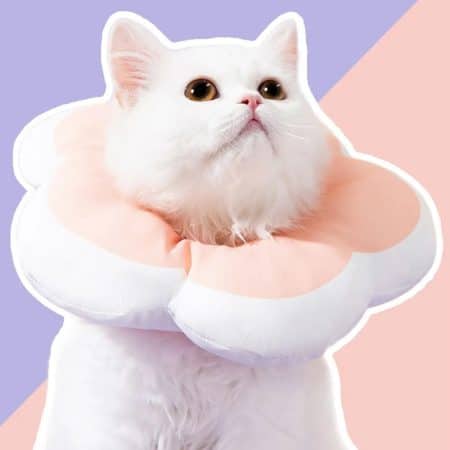 Adjustable Flower-Shaped Cat E-Collar for Recovery