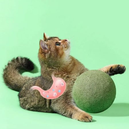 Catnip Treat Ball: Fun for Felines